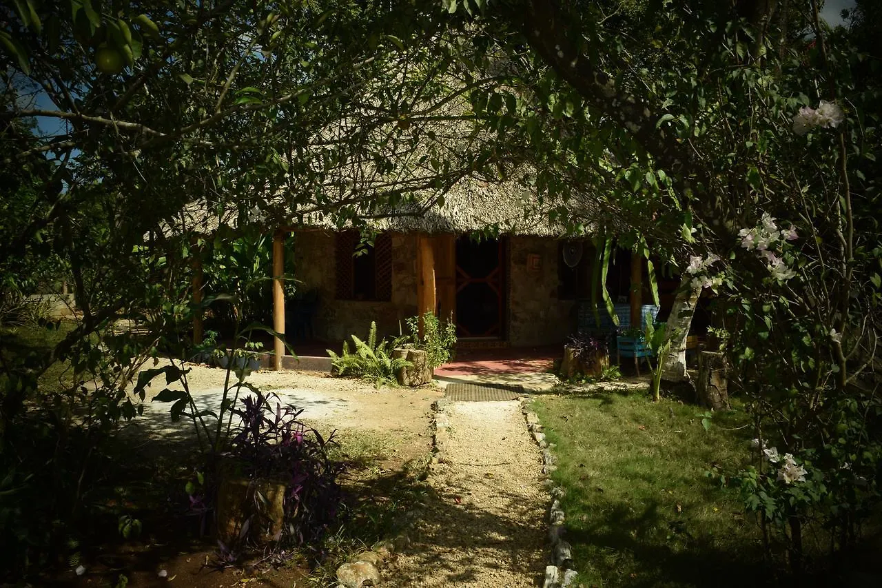 Frühstückspension Bed and Breakfast Casa Tucan Solferino Mexiko