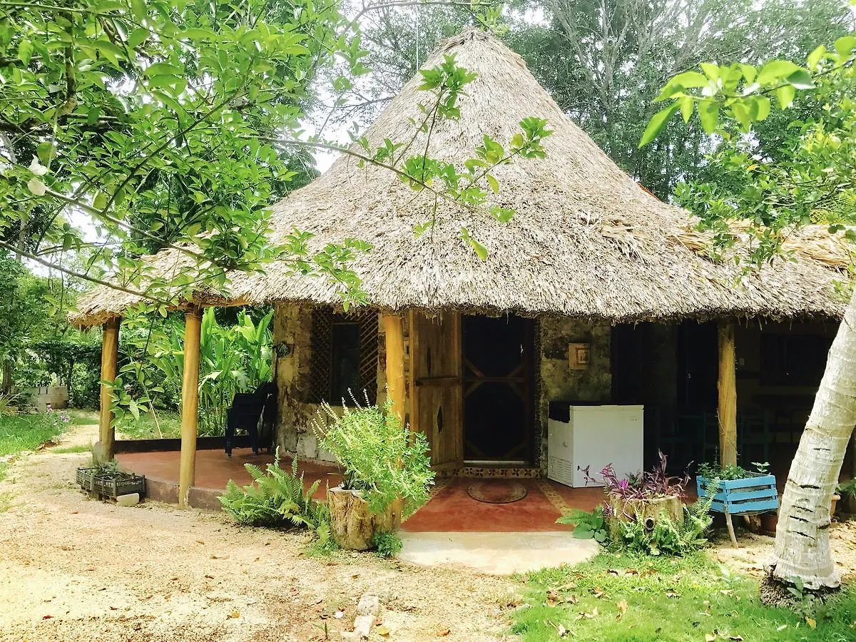 Bed and Breakfast Casa Tucan Solferino Mexiko