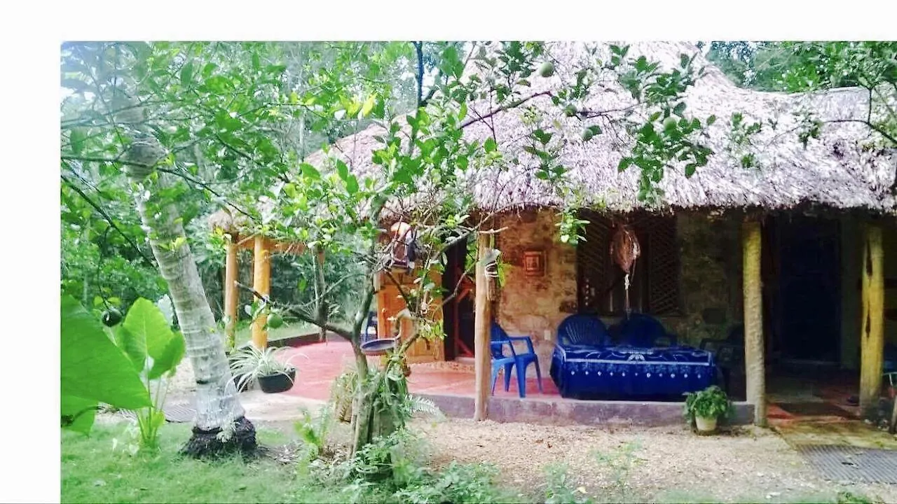 לינה וארוחת בוקר Solferino Casa Tucan מקסיקו